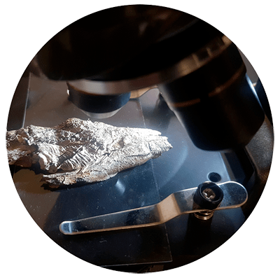 Macro | Micro visión&nbsp;ambiental